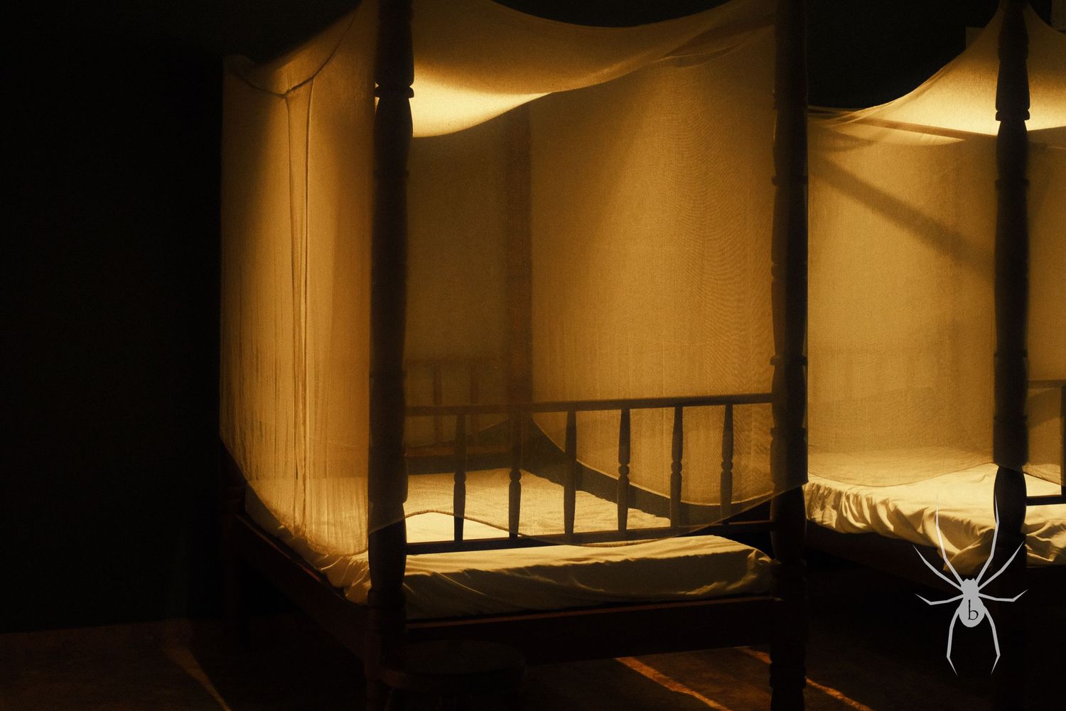 Empty bed frame in a dimly lit room creating an eerie atmosphere.