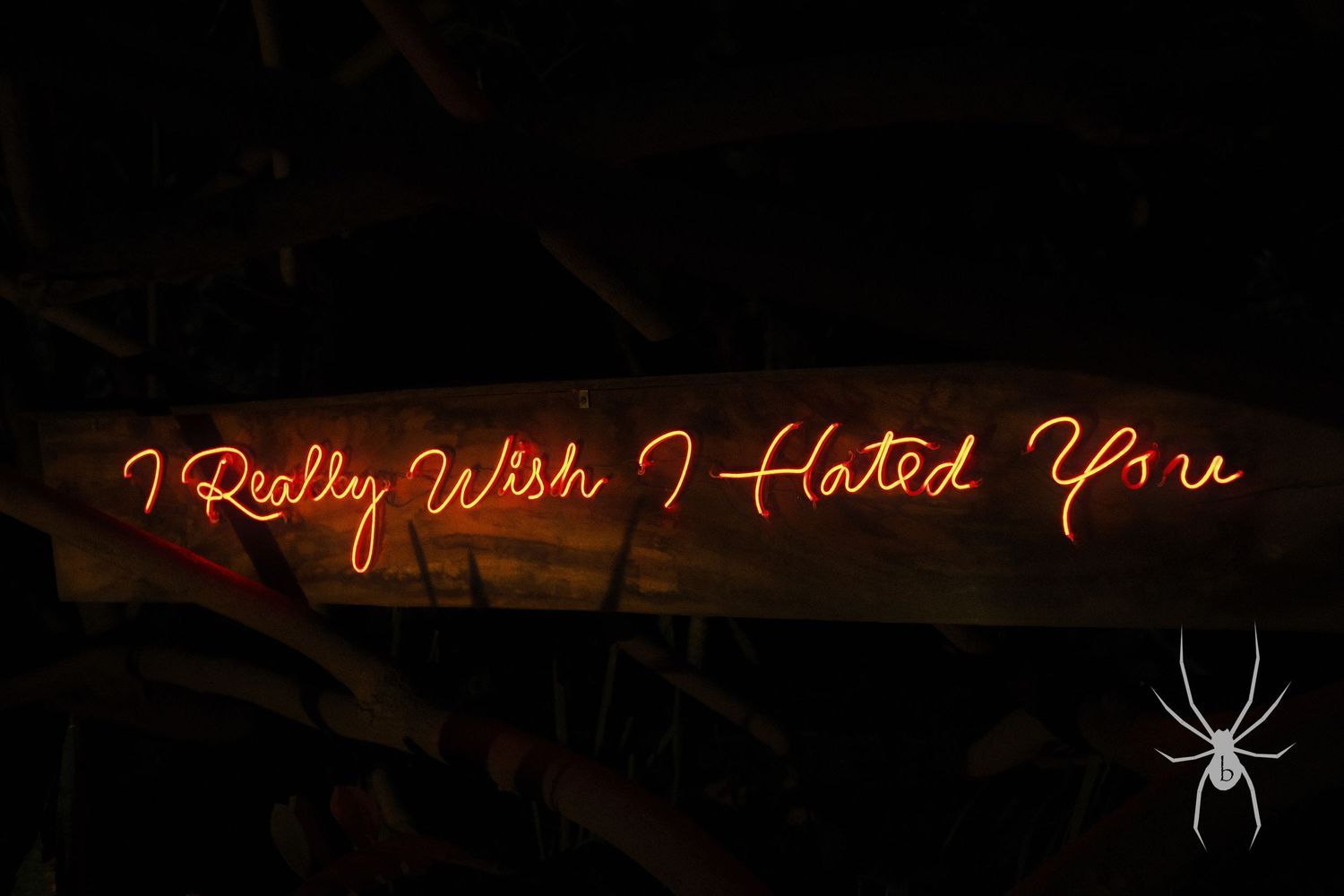 Red neon sign reading 'I Really Wish I Hated You' with spider decoration against dark background.