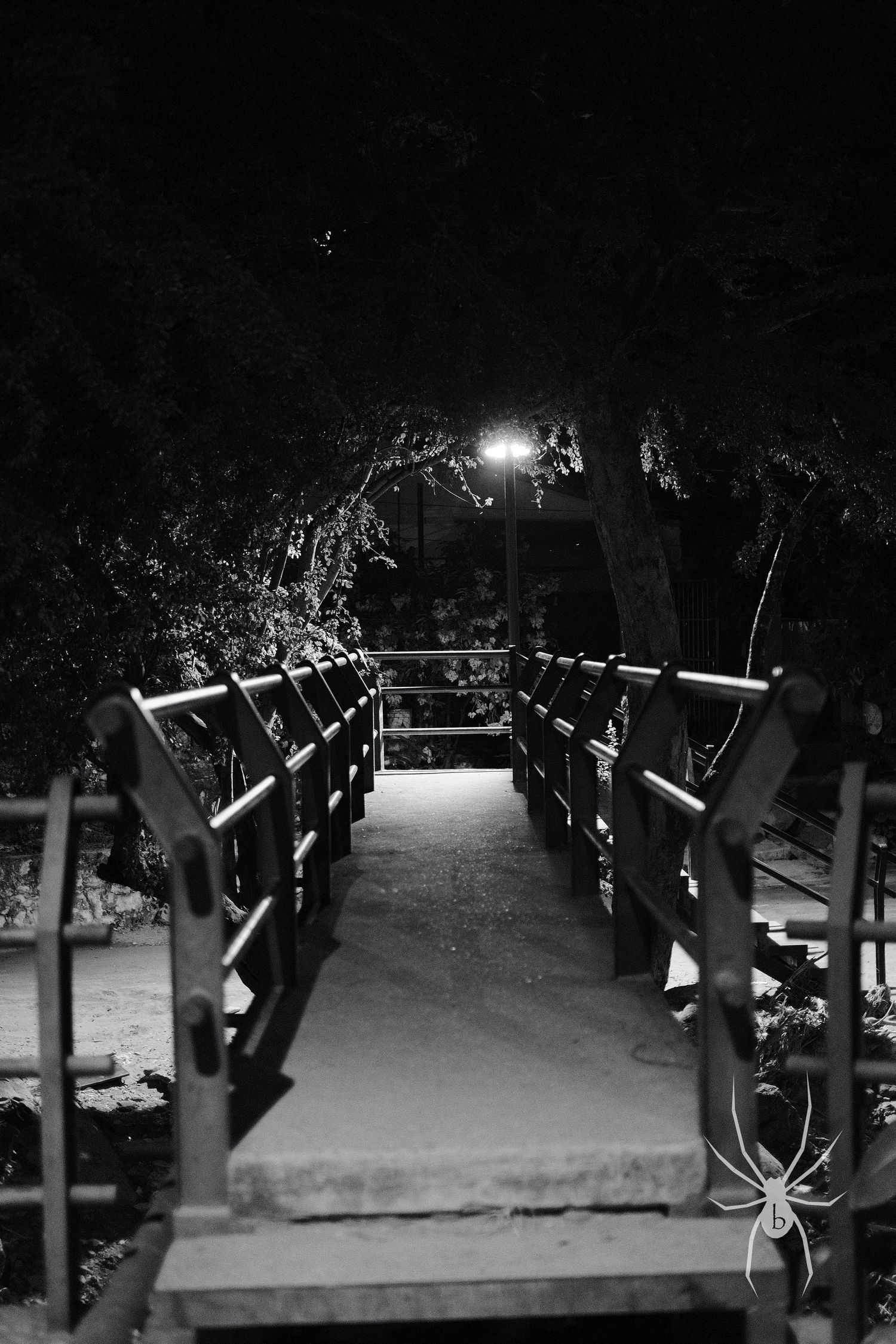Illuminated wooden bridge pathway through dark foliage at night.