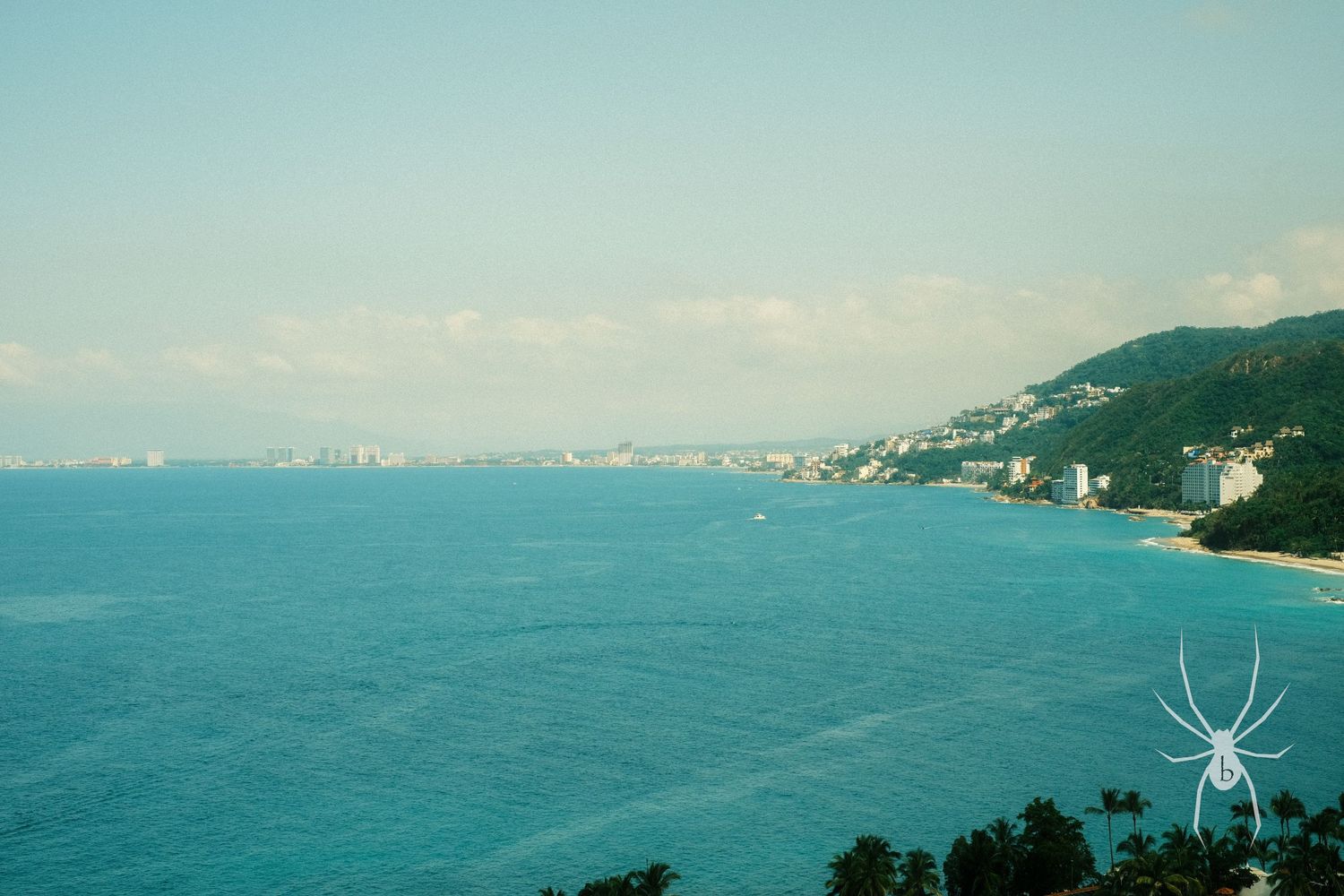 Scenic coastal view of blue ocean and mountains under bright sky with spider watermark.