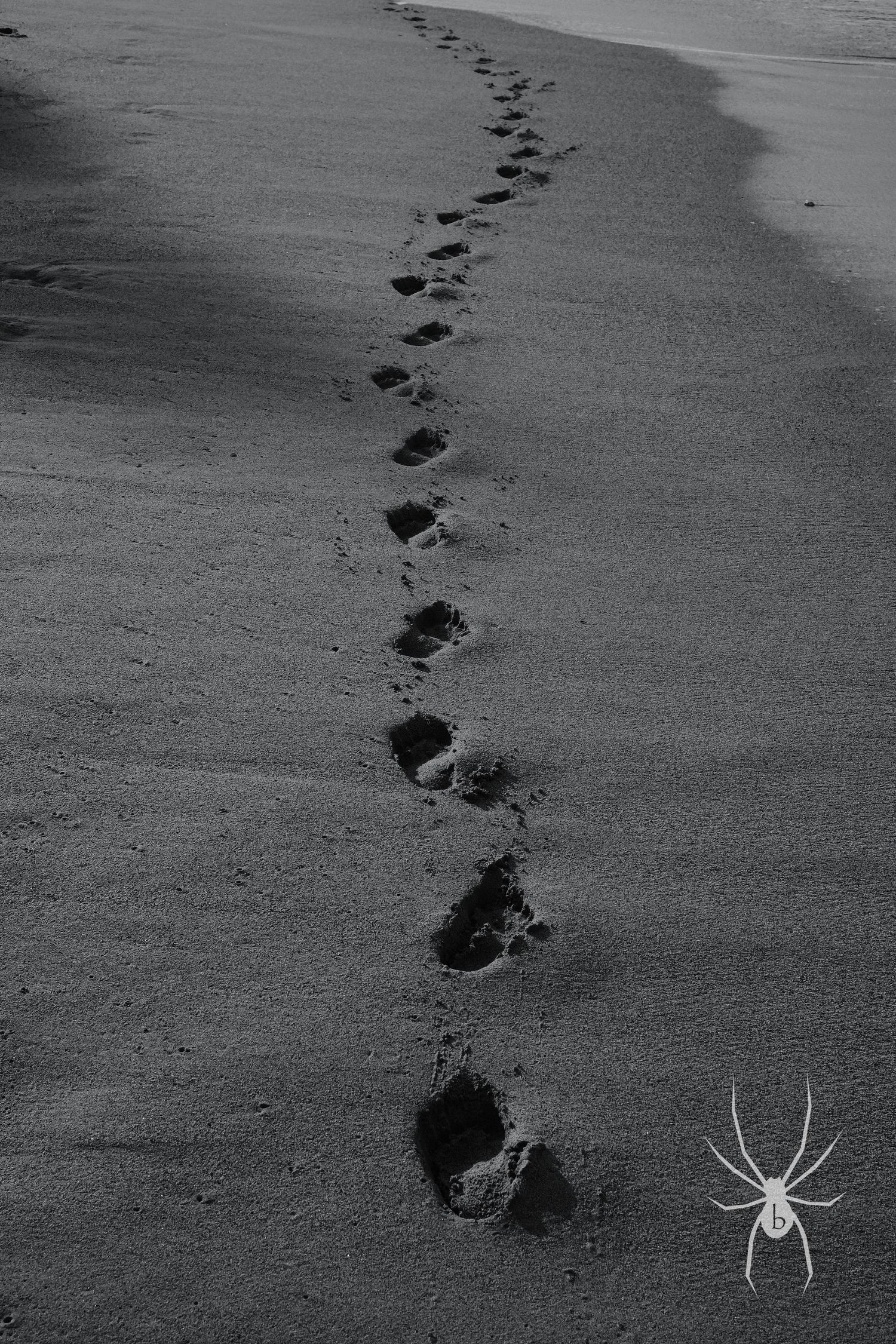Line of footprints trails along empty beach sand in black and white.
