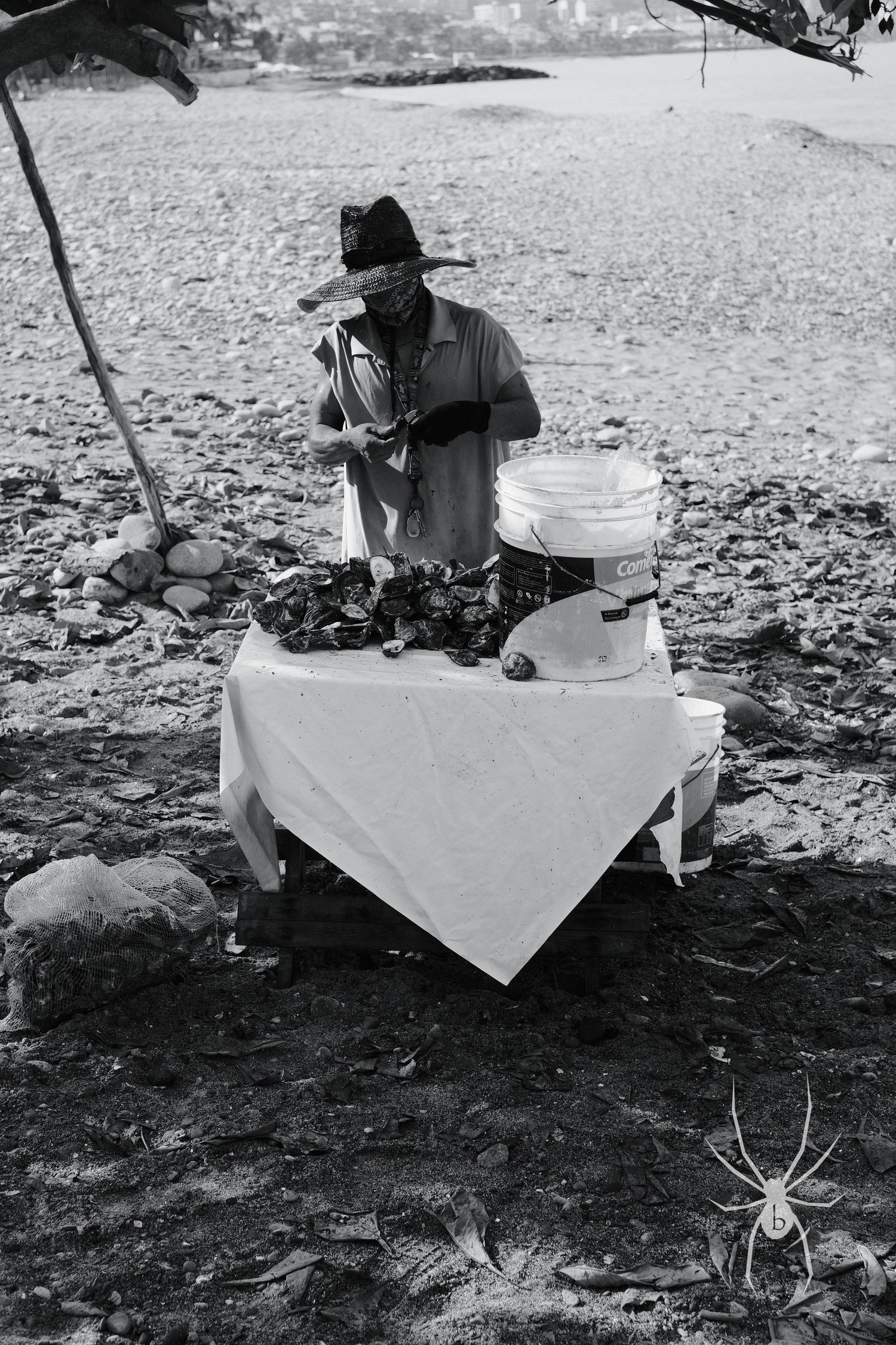 Vendor at outdoor market table with white tablecloth in black and white photo.