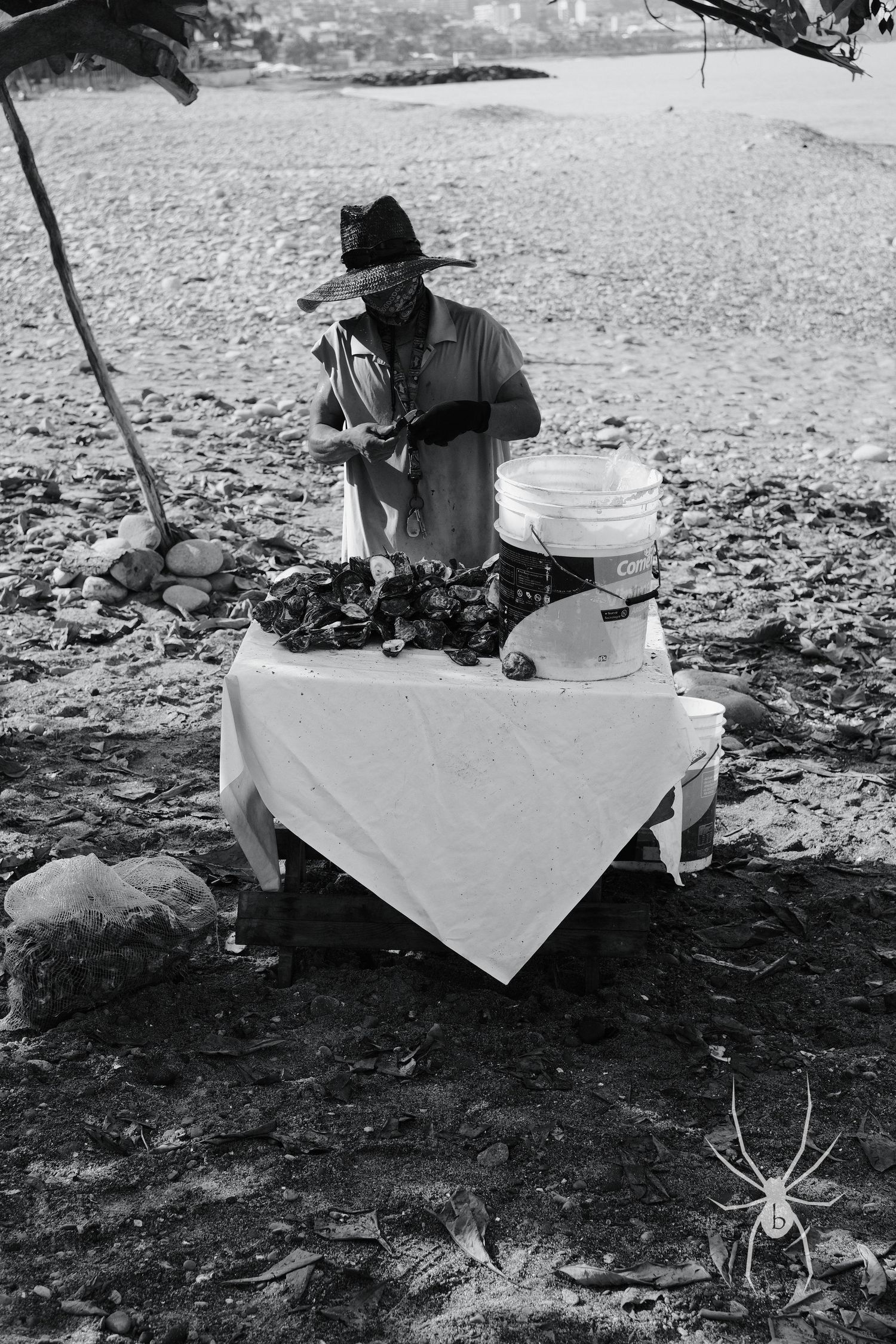 Vendor arranges fresh produce at outdoor market table in black and white photo.