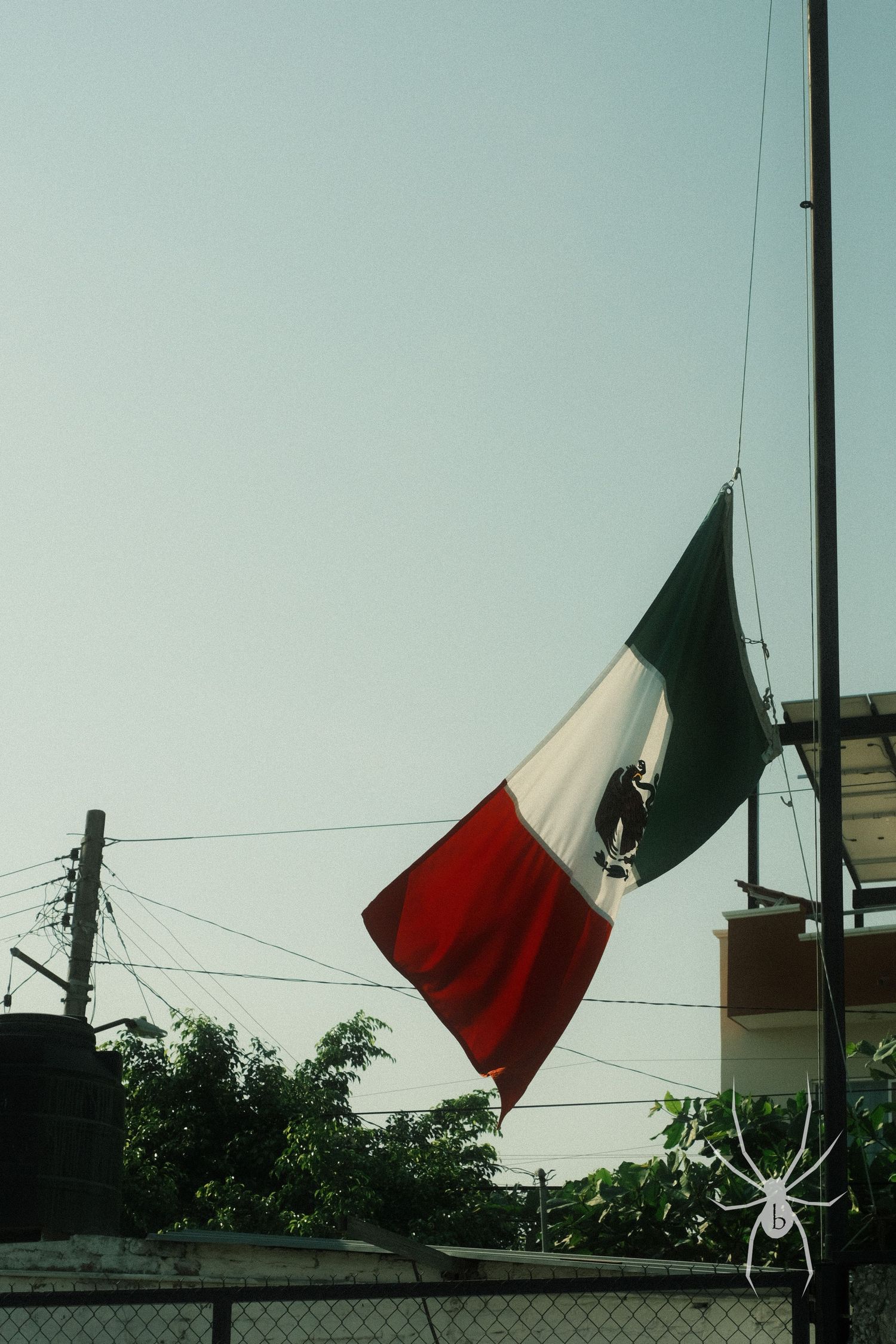 Mexican flag waving against a pale blue sky with power lines visible.
