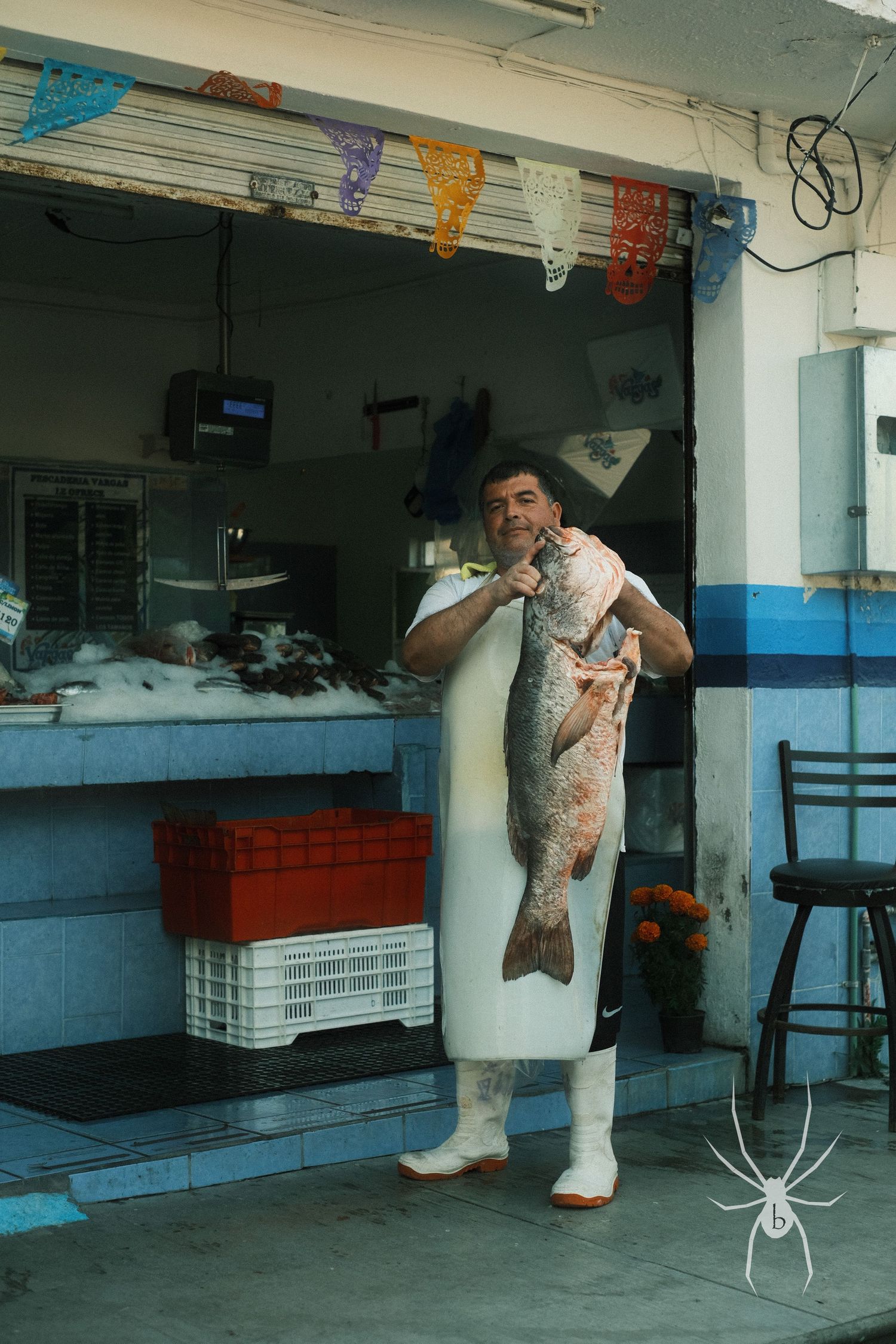 Person in white apron holds large fresh-caught fish at seafood market counter.