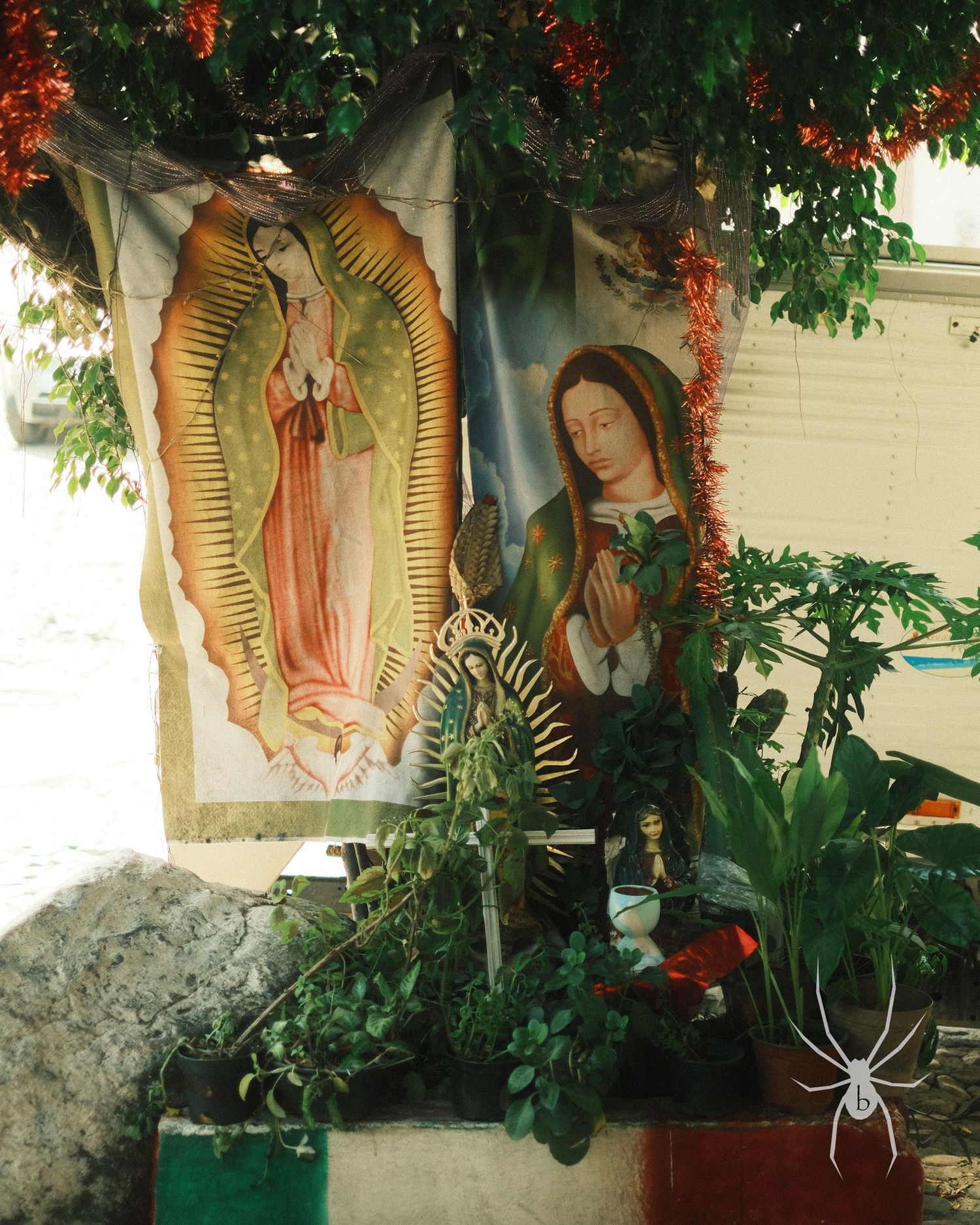 Religious artwork of Virgin Mary and saints adorns a garden wall with flowering vines and plants.