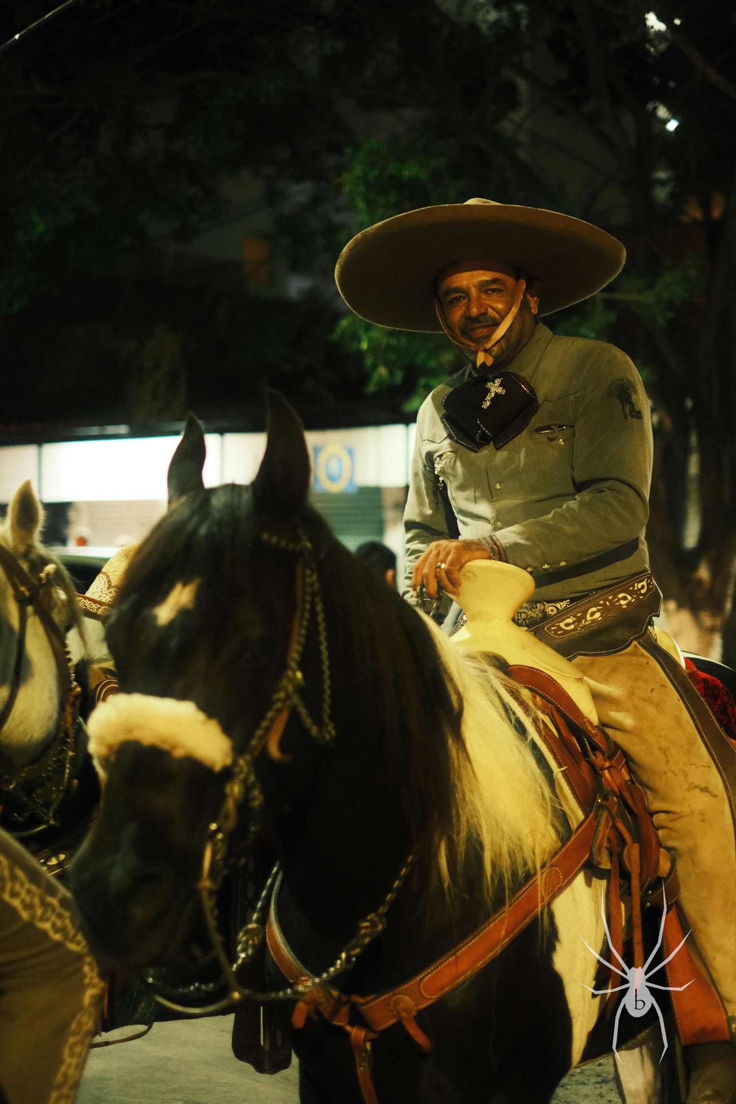 Traditional horseback rider in Mexican charro attire on a decorated horse.