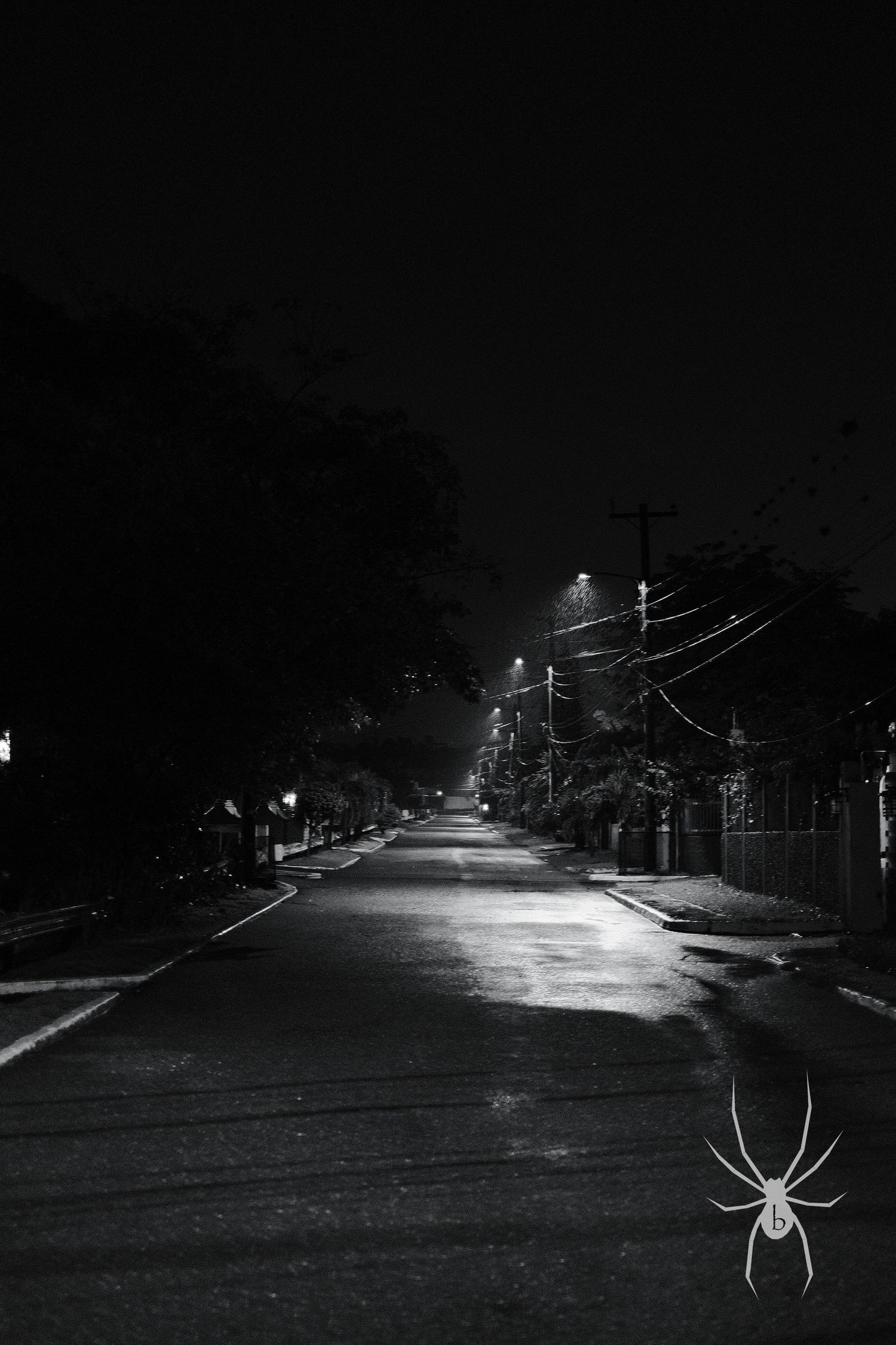Empty suburban street at night with streetlights casting shadows along the pavement.
