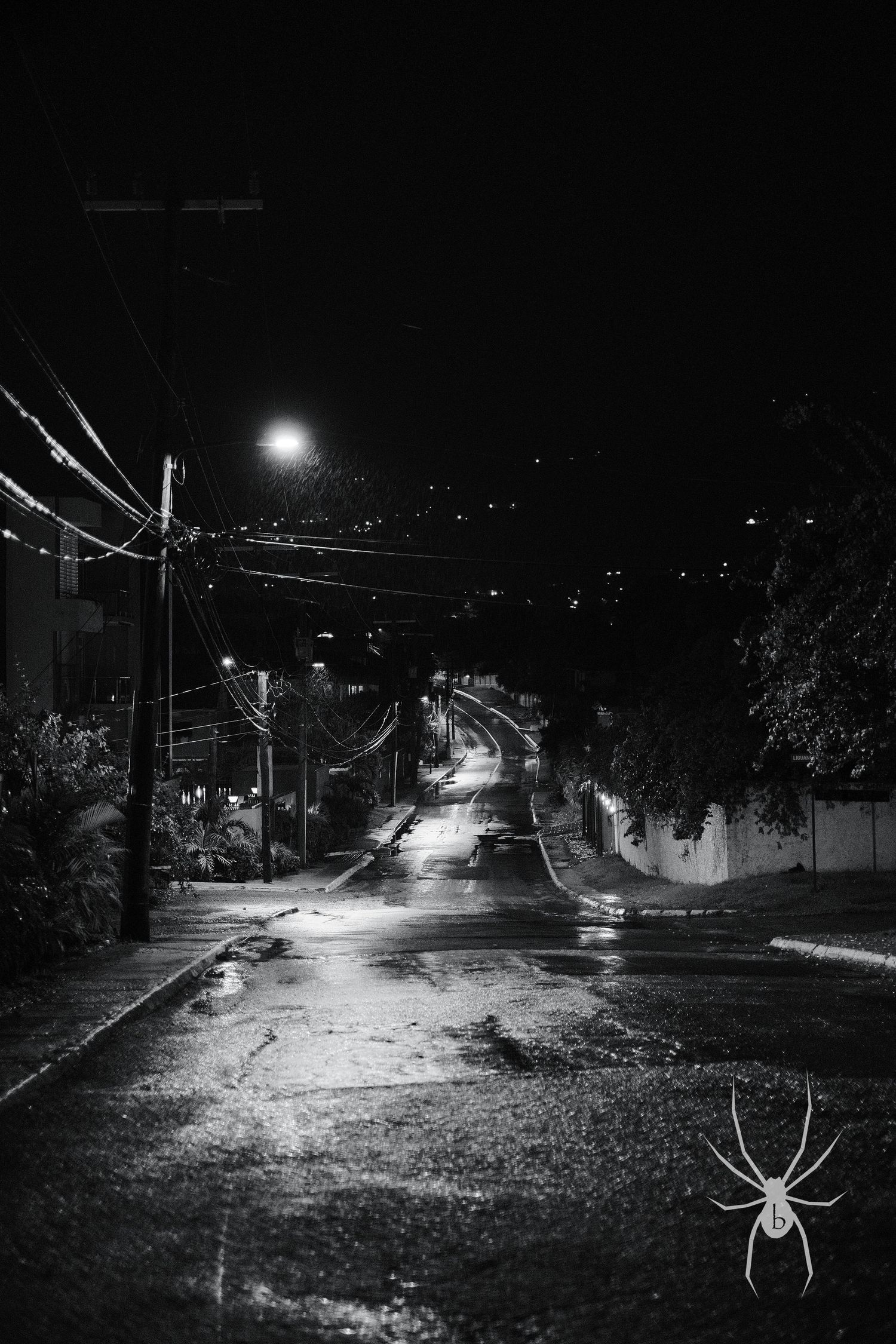 Dimly lit suburban street at night with wet pavement and a spider overlay in the foreground.