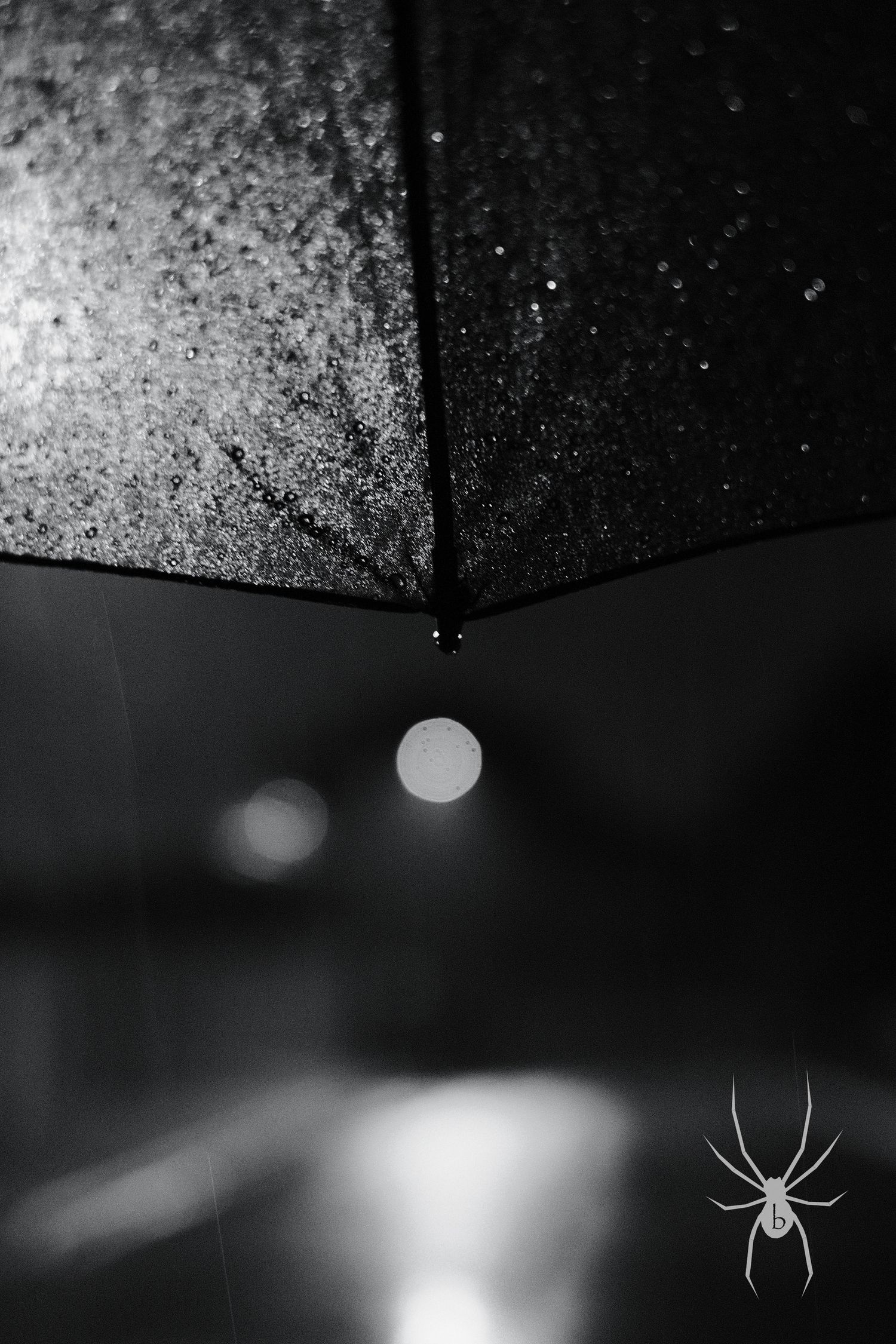 Abstract black and white macro photography of water droplets on a reflective surface.