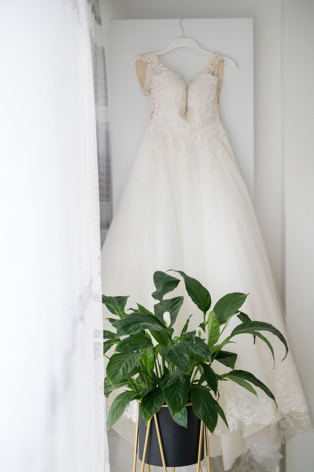 White wedding dress hanging on display with green potted plant beneath.