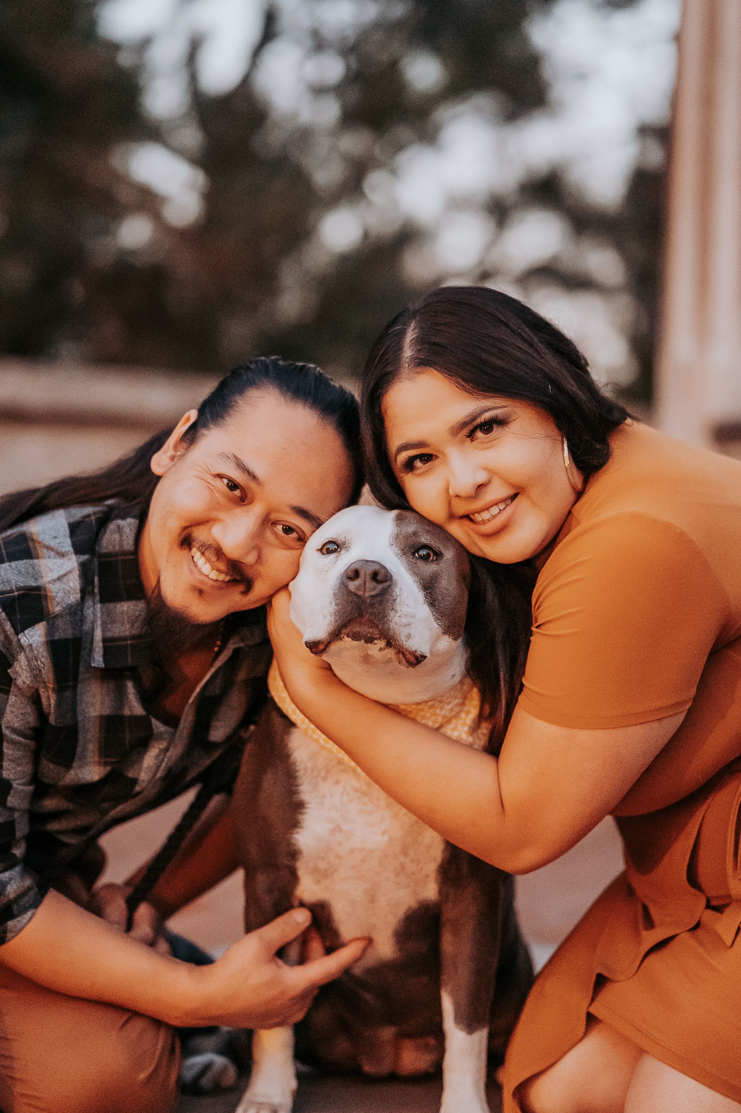 Couple poses with their happy pit bull dog during golden hour.