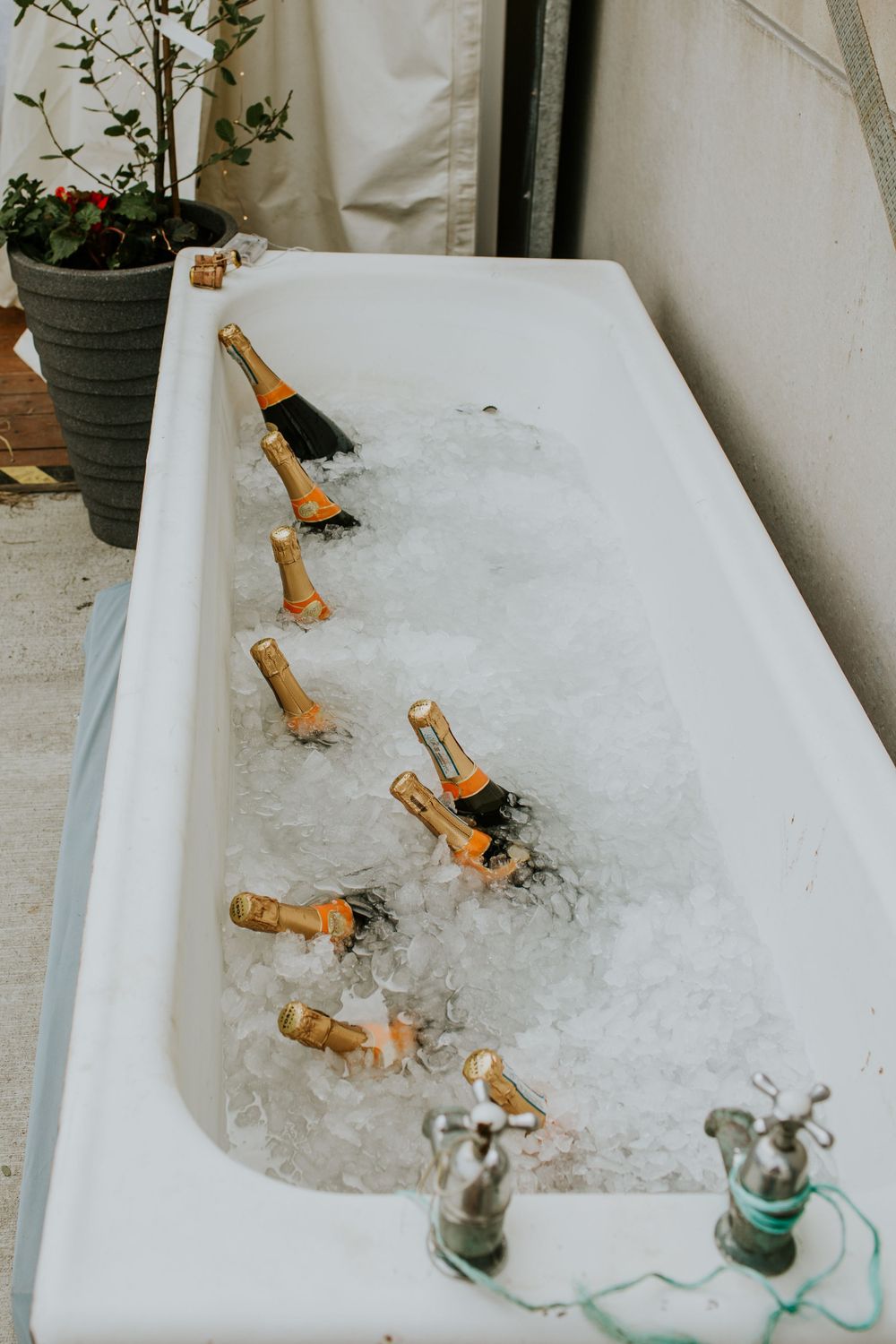 Champagne bottles chilling in ice inside a vintage white bathtub at an elegant event.