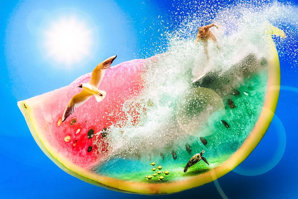 Watermelon Surfer
