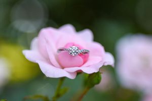 Engagement Session