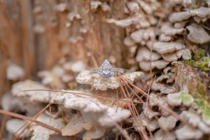 Engagement Session