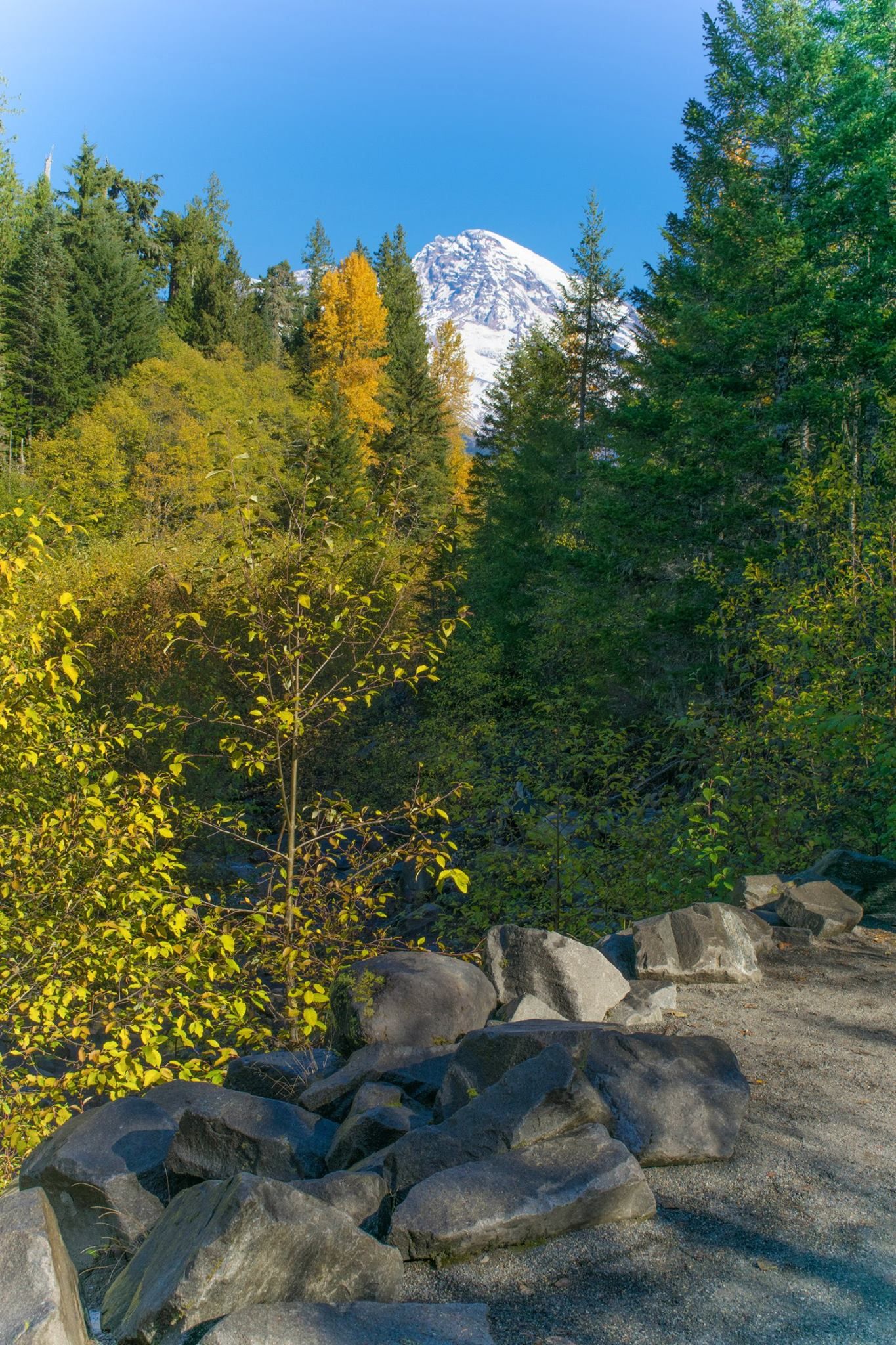 Mount Rainier towers over autumn foliage and large boulders under clear blue skies.