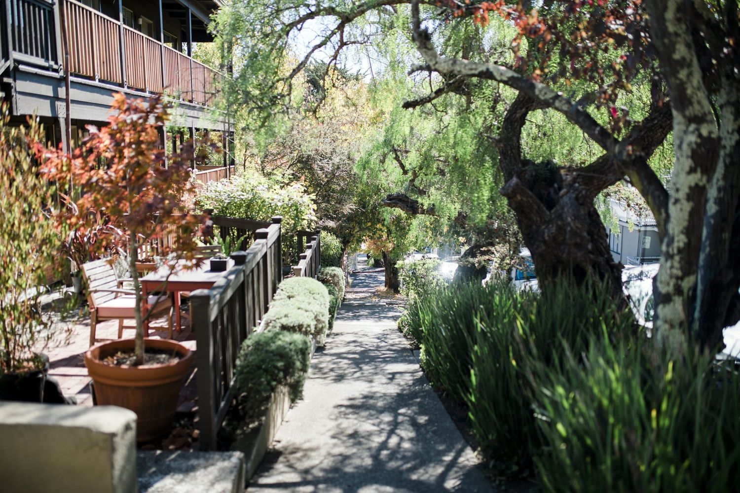 Lush vegetation, even in the city.