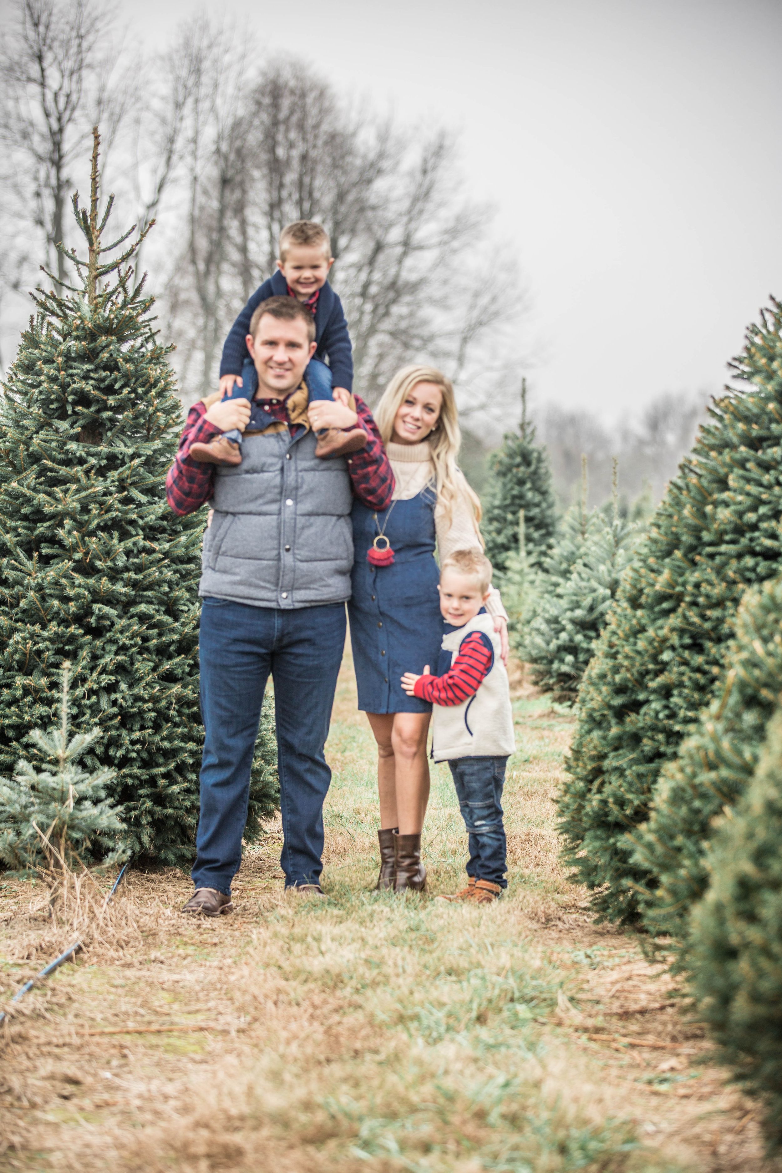 TREE FARM MINIS Tammy Sue Photography