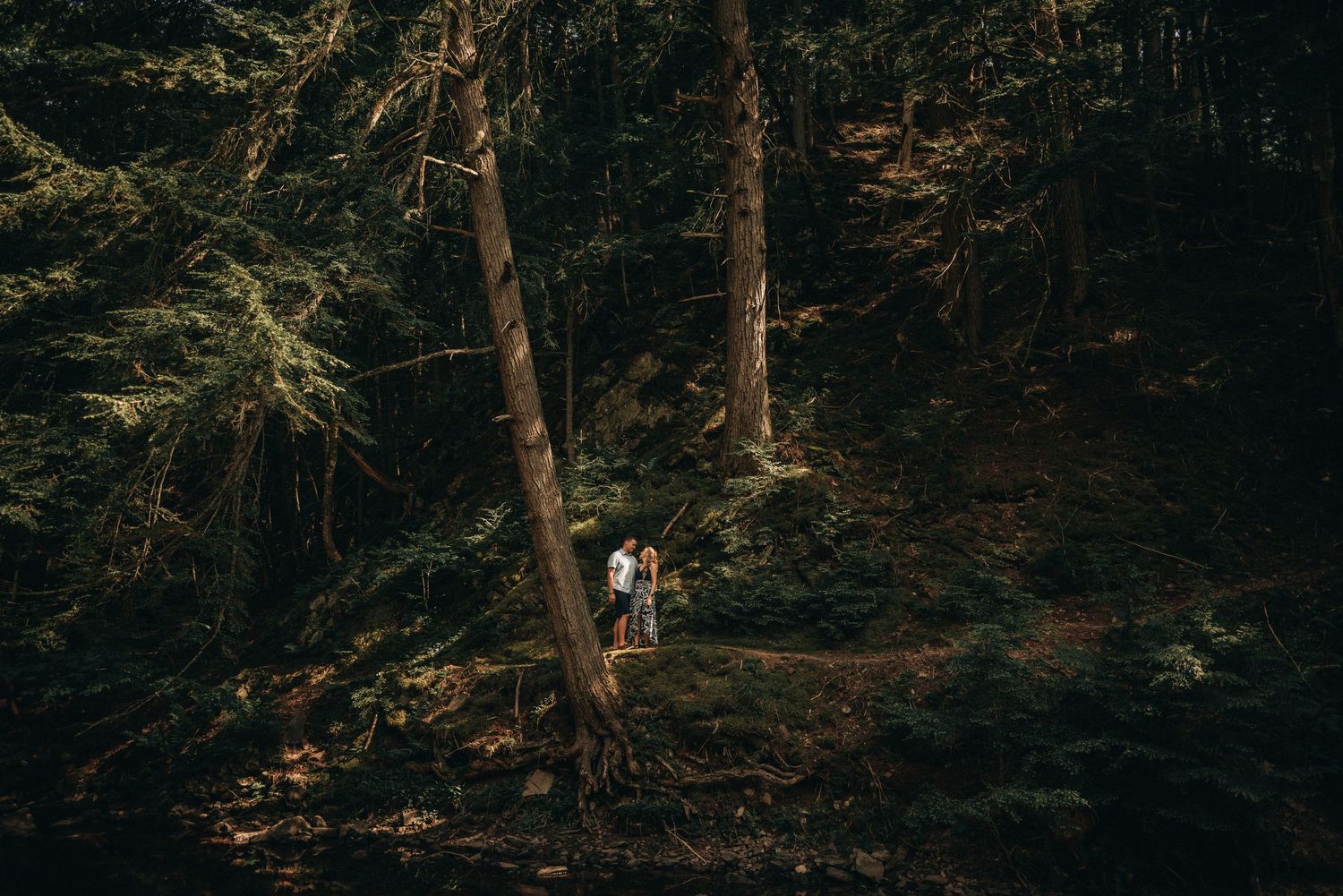 A couple walks through a moody forest landscape with tall trees.
