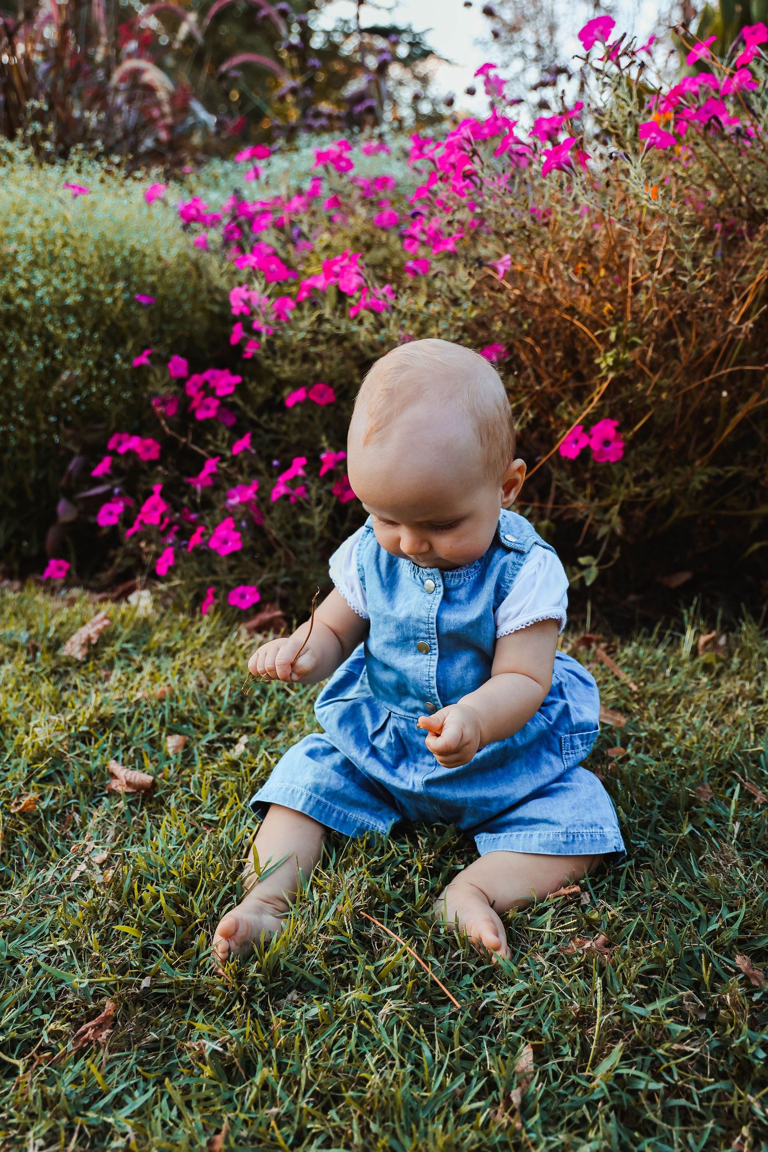 Baby in denim dress sitting in garden with bright pink flowers.