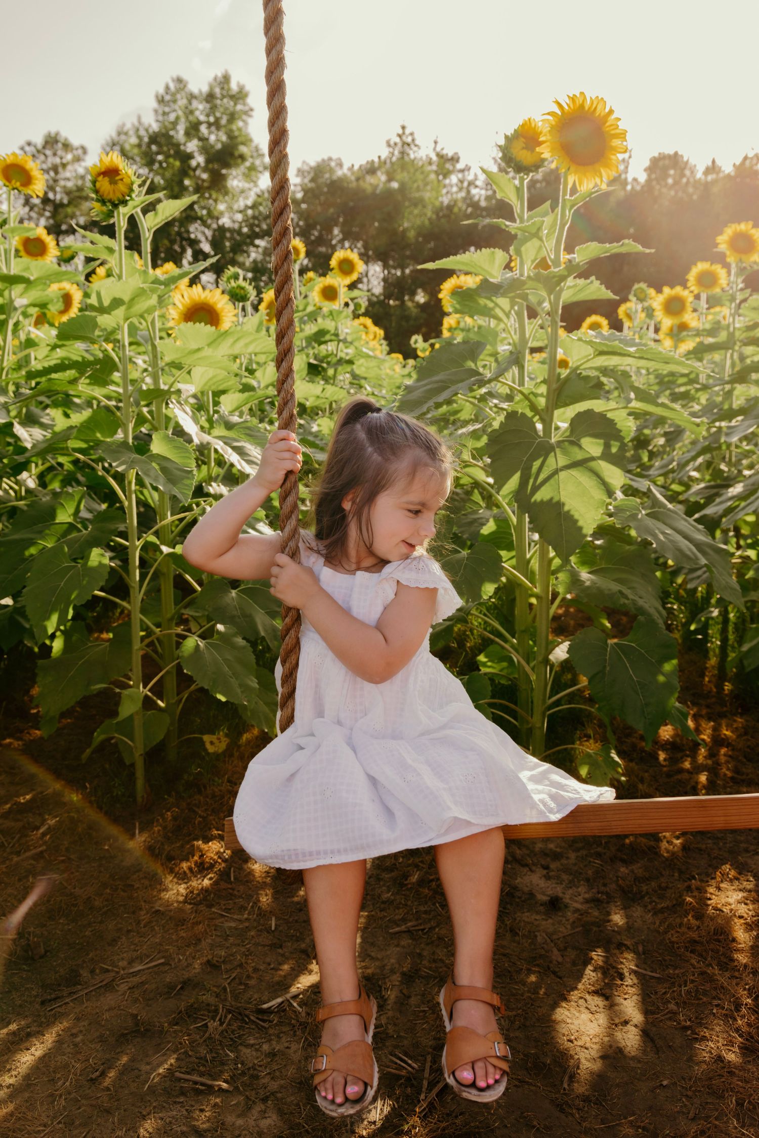 Little girl in white dress playing among tall sunflowers at sunset.
