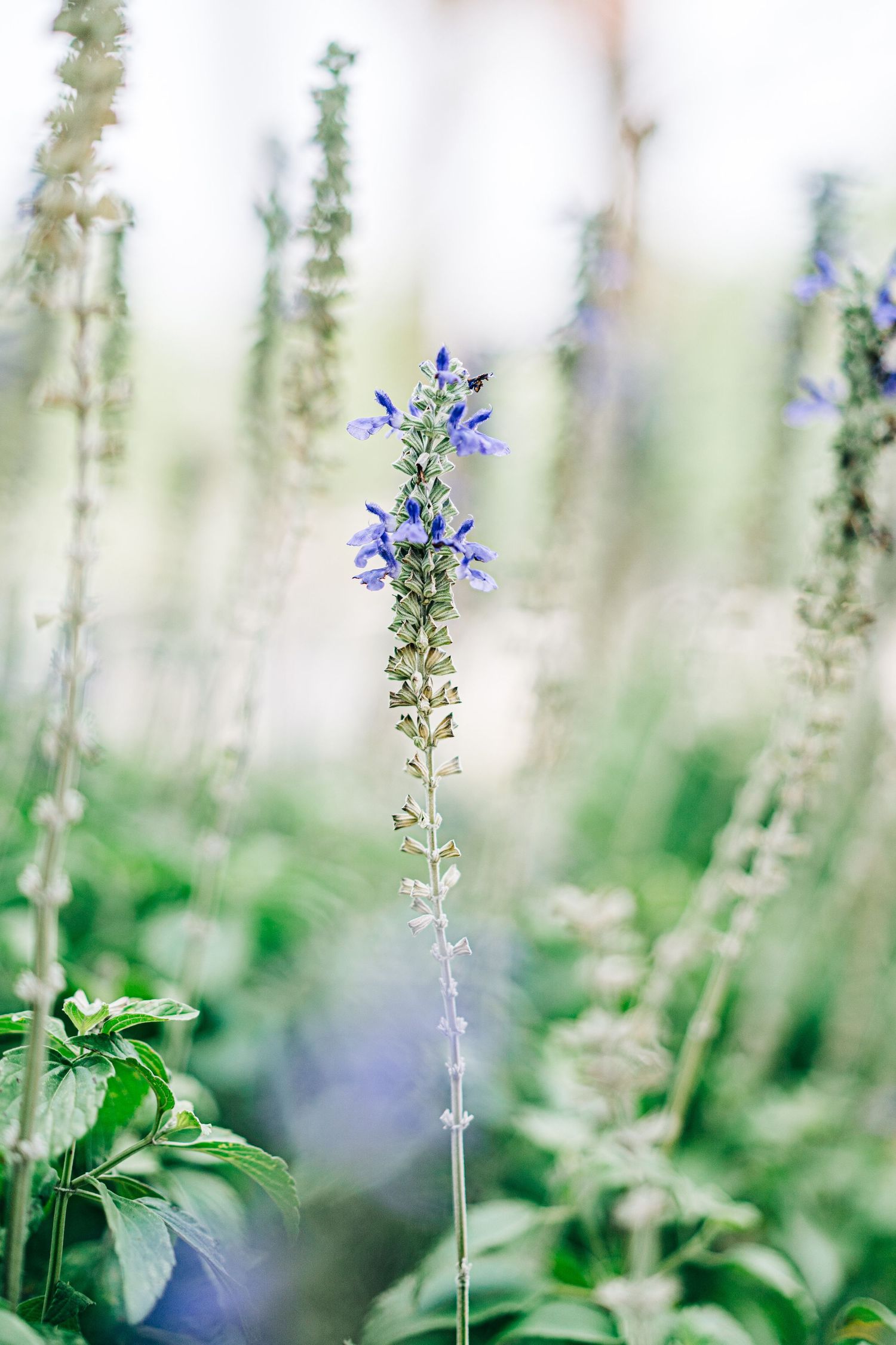 nature photography