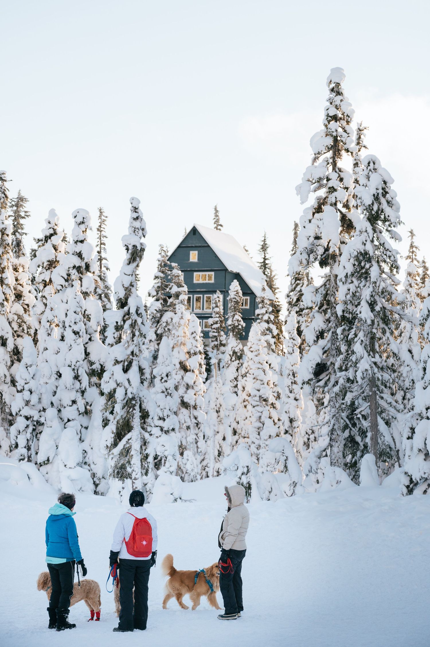 Skiing on Vancouver Island Driftwoods Photography