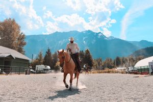 mountain cowboy rider photo blue and gold