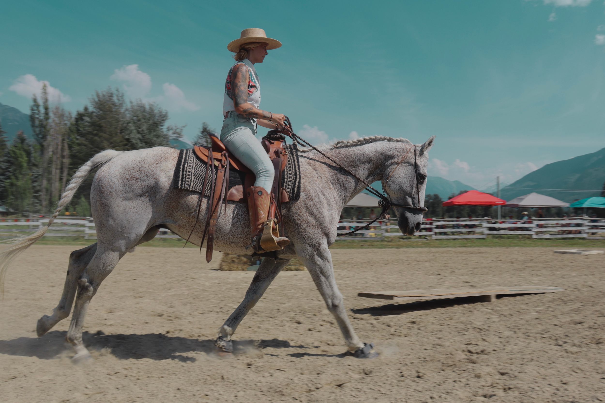 woman horse rider photo