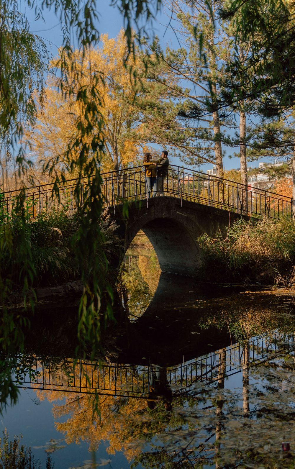 Person standing on wooden bridge over reflective pond during golden hour.