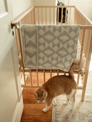 A ginger cat walks past a wooden crib with a gray geometric blanket hanging over the rail.