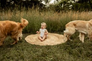 A small figure sits on a round jute rug in a grassy field with two golden retrievers approaching.