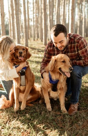 Happy couple petting their two golden retriever dogs in a sunny forest setting.