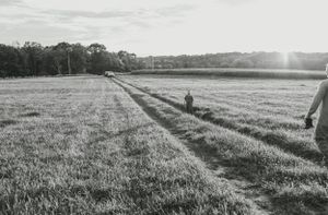 A scenic field landscape with figures walking in the distance at sunset.