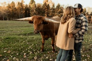 A couple stands near a longhorn cow in a pastoral field at sunset.