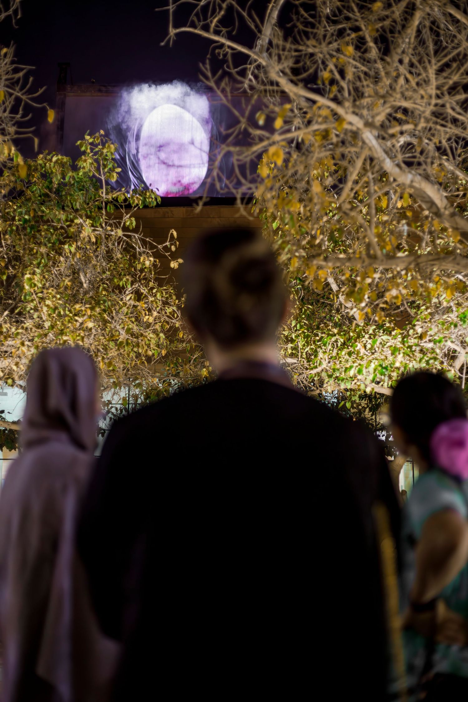 Illuminated projection screen visible through tree branches at night with audience watching.