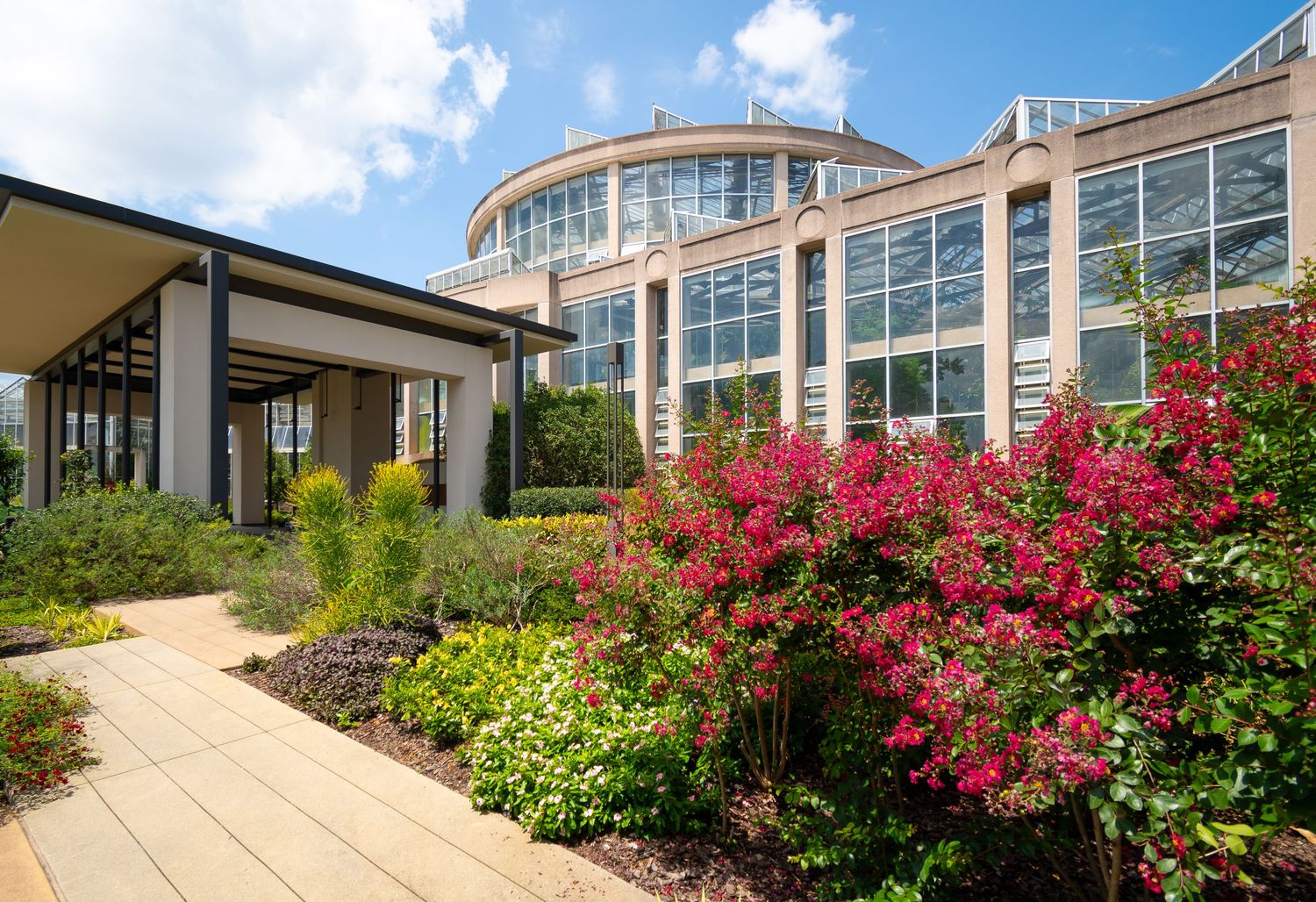 Modern glass building exterior with curved architecture and vibrant pink azalea landscaping.