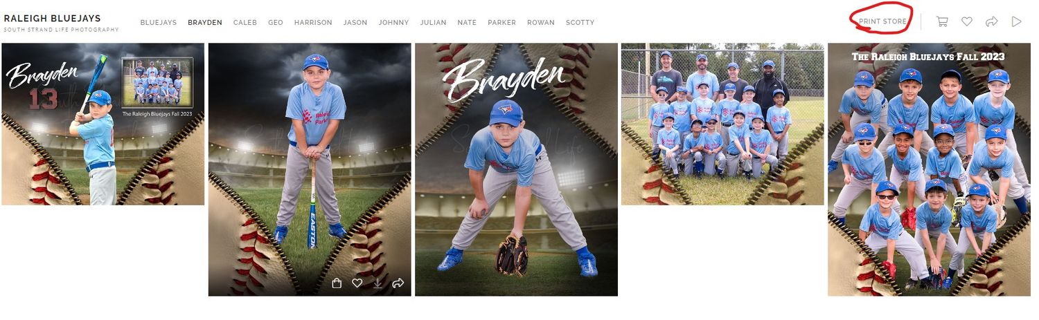 Collage of baseball team photos and player poses featuring the Raleigh Bluejays team in blue uniforms.