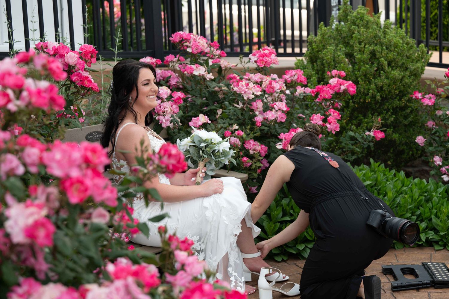 A wedding dress fitting takes place in a garden surrounded by blooming pink roses.