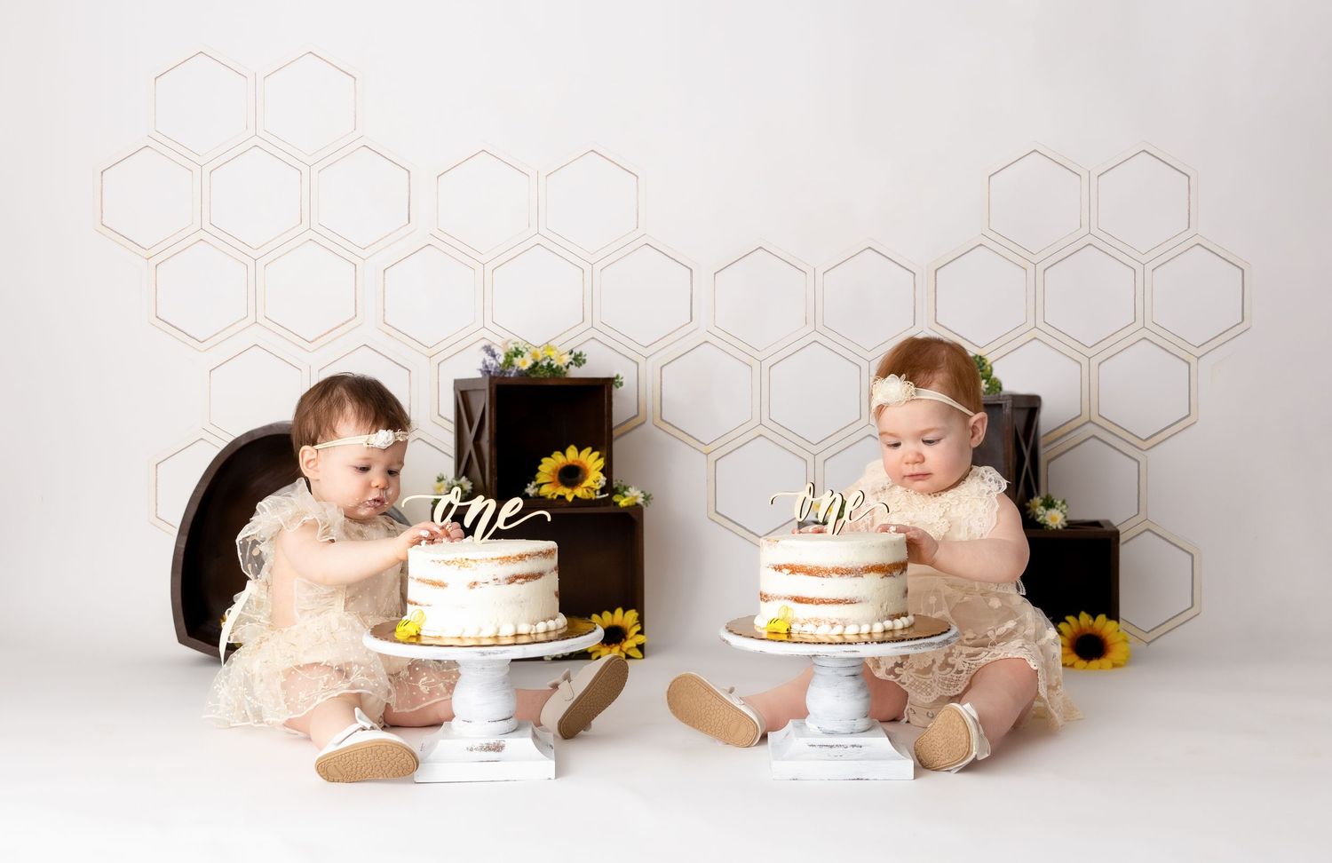 Two babies in matching outfits sitting with individual birthday cakes against a honeycomb patterned wall with sunflowers.
