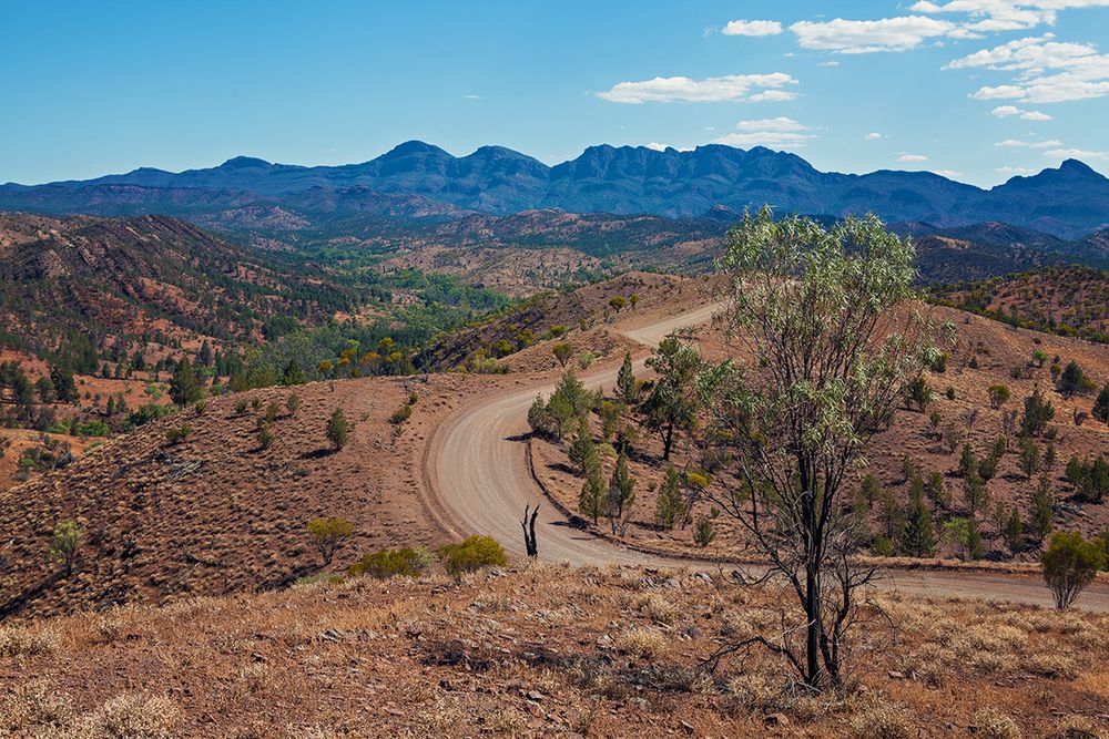 Winding mountain road curves through rugged terrain with blue peaks in distance.