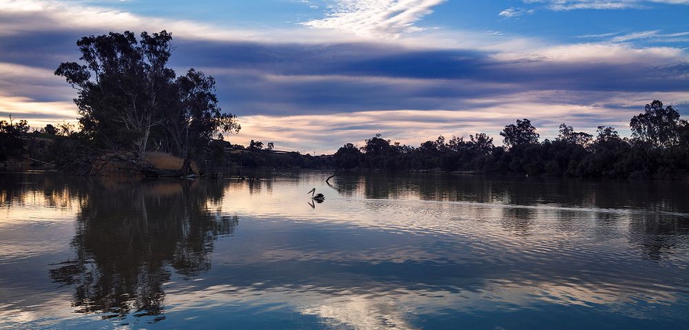 Tranquil lake reflects cloudy sunset sky and silhouetted trees.