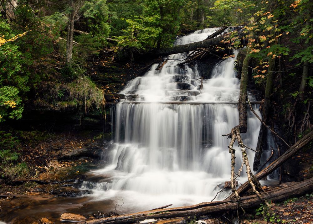 Cascading waterfall flows through lush forest over moss-covered rocks.