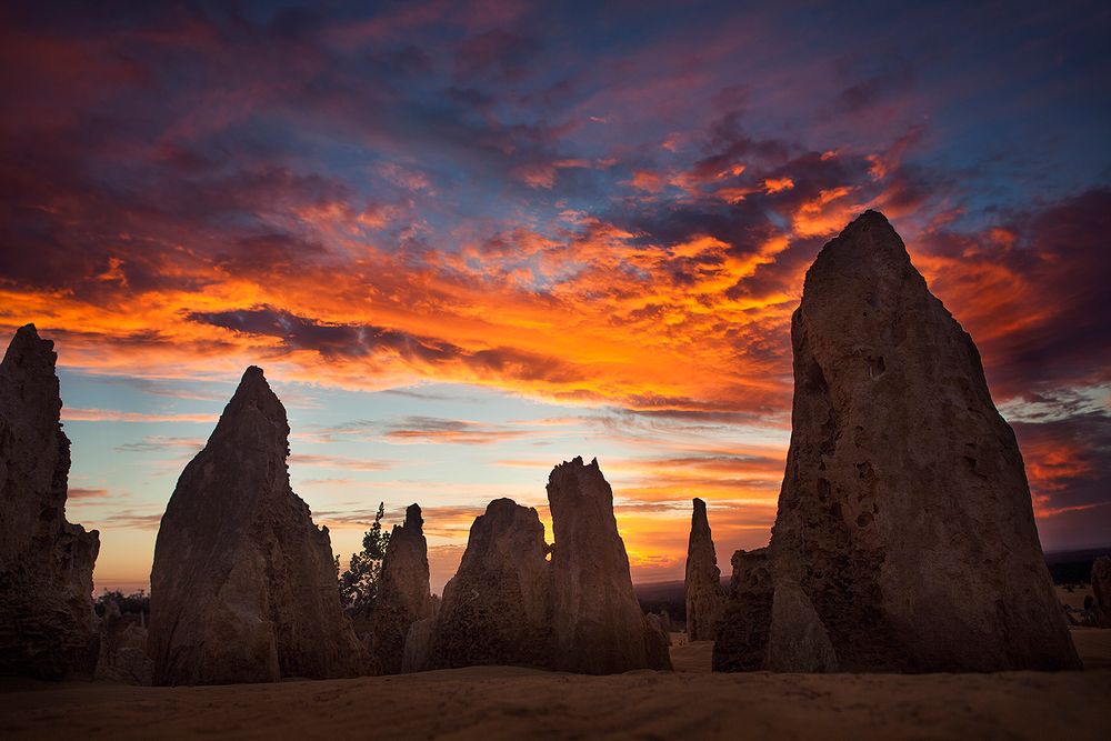 Ancient limestone pinnacles silhouetted against a dramatic orange and purple sunset sky in Western Australia.