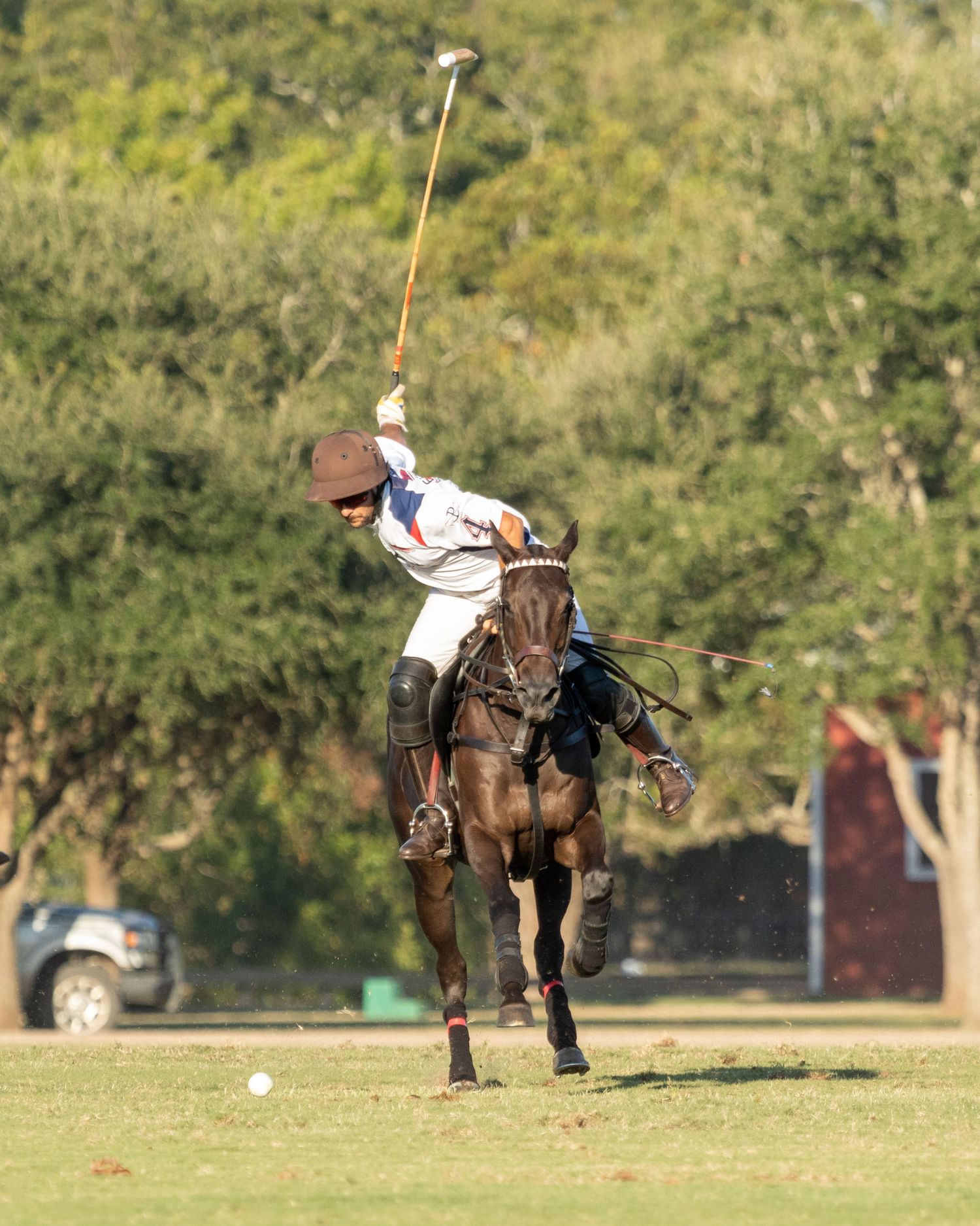 Polo