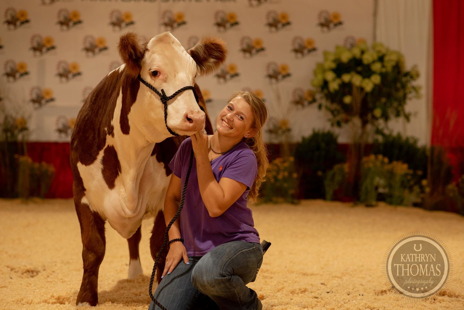 A brown and white show cow shares a sweet moment with its handler at the state fair.