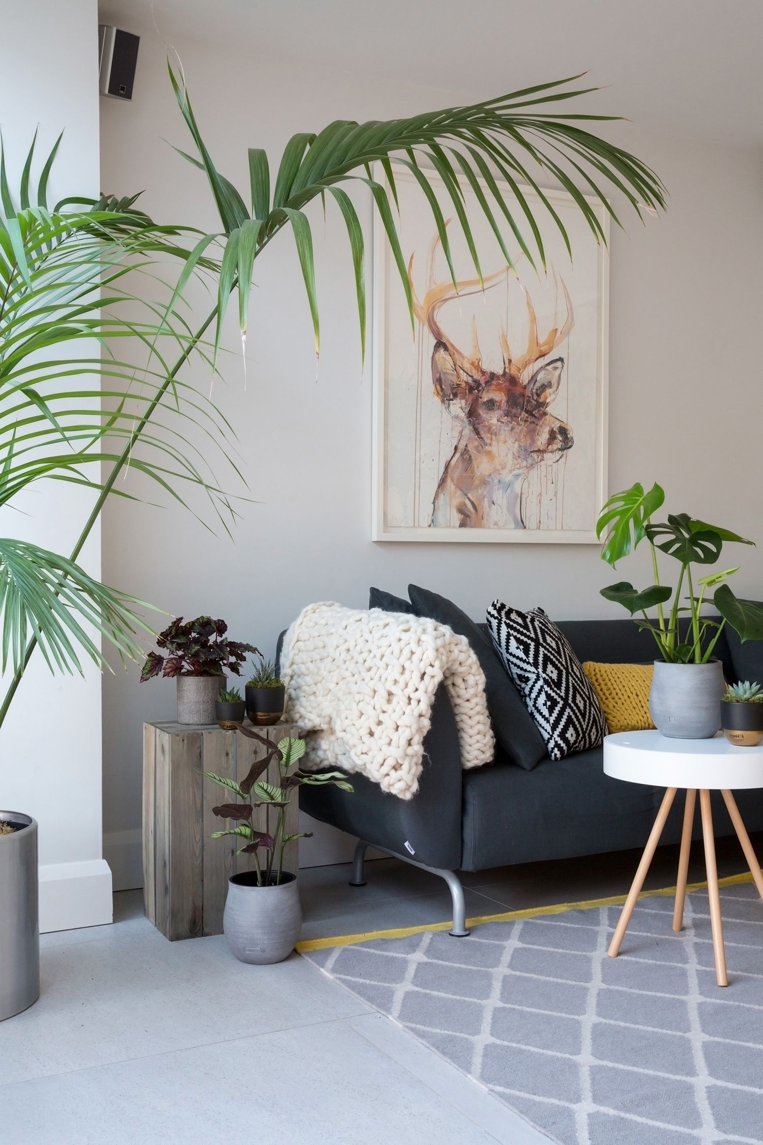Contemporary living room with tropical plants, deer artwork, and gray sofa with patterned pillows from a product/lifestyle photoshoot.