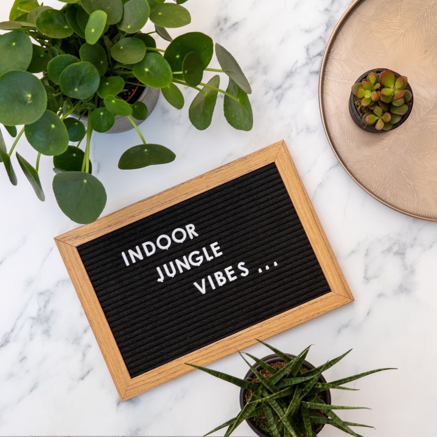 Letter board with 'Indoor Jungle Vibes' text surrounded by houseplants on marble surface from a product/lifestyle photoshoot.