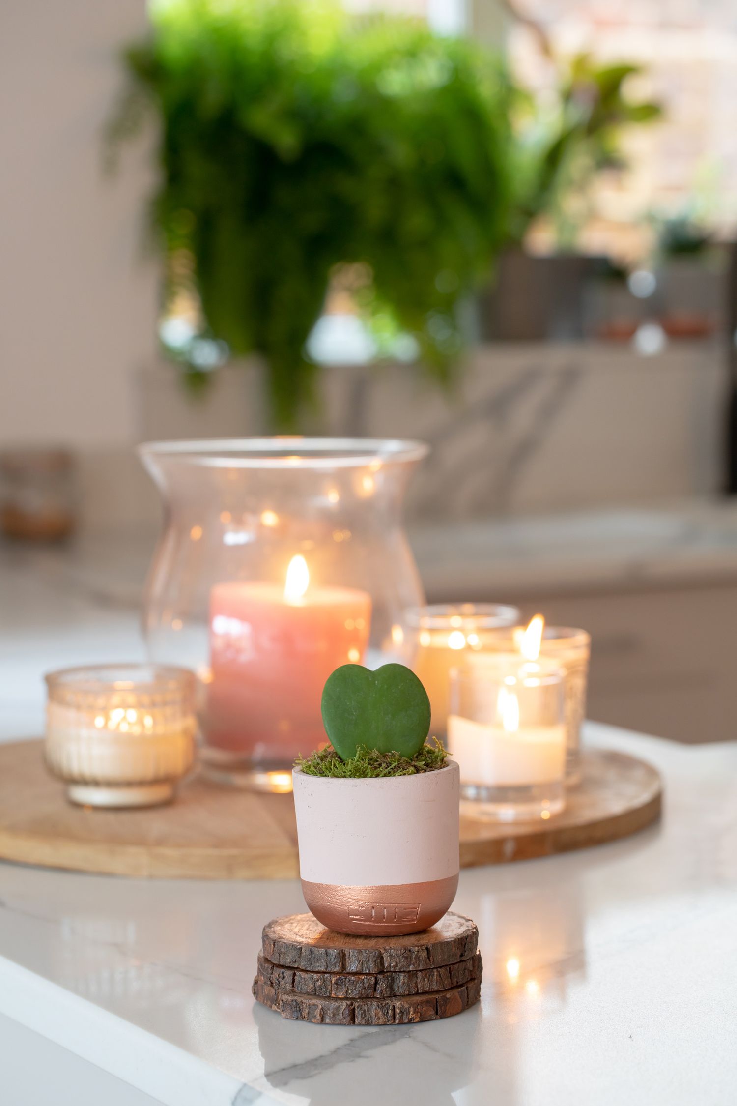 Cozy candle arrangement with succulents and wooden accents on white surface from a product/lifestyle photoshoot.